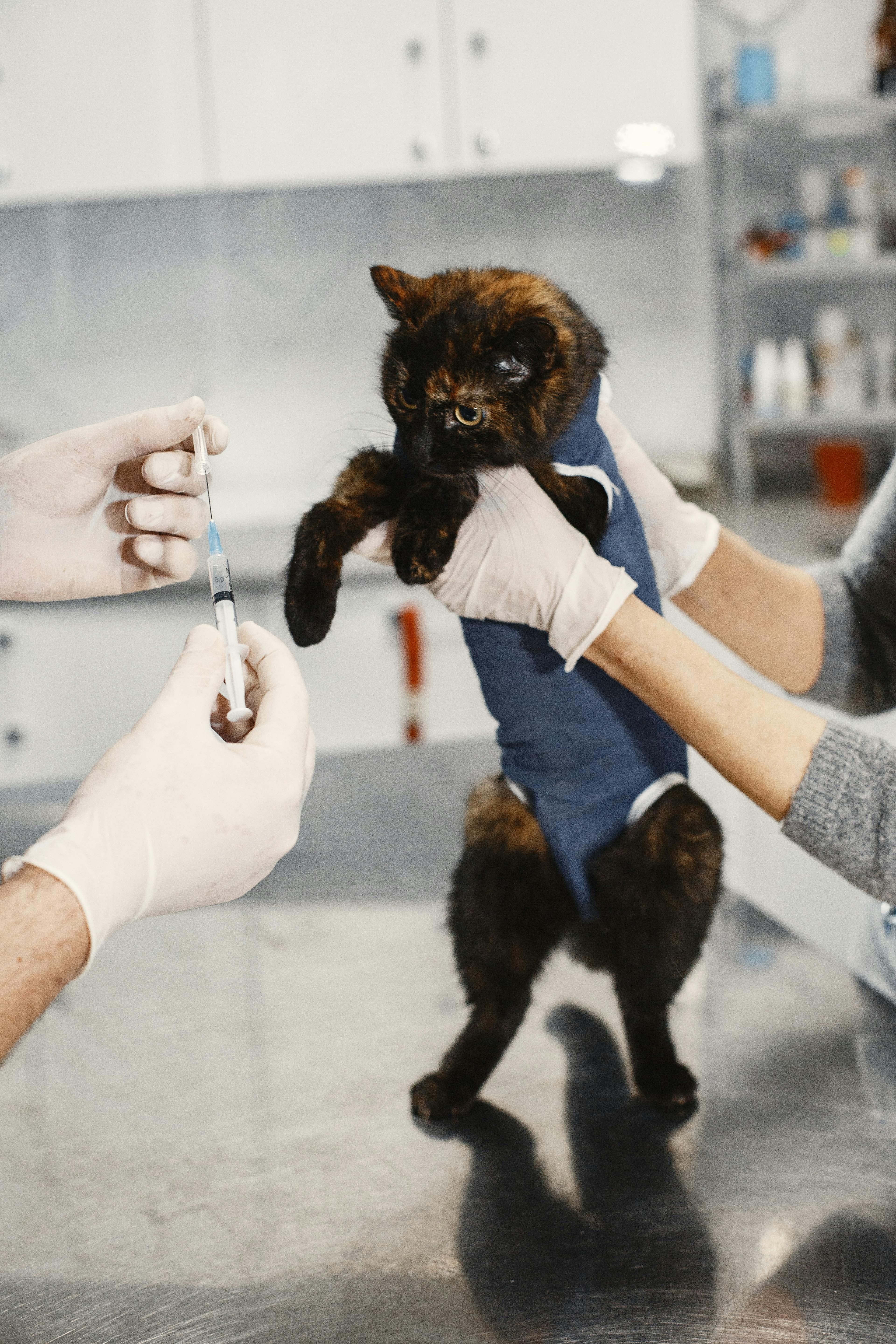 Pet vaccinations