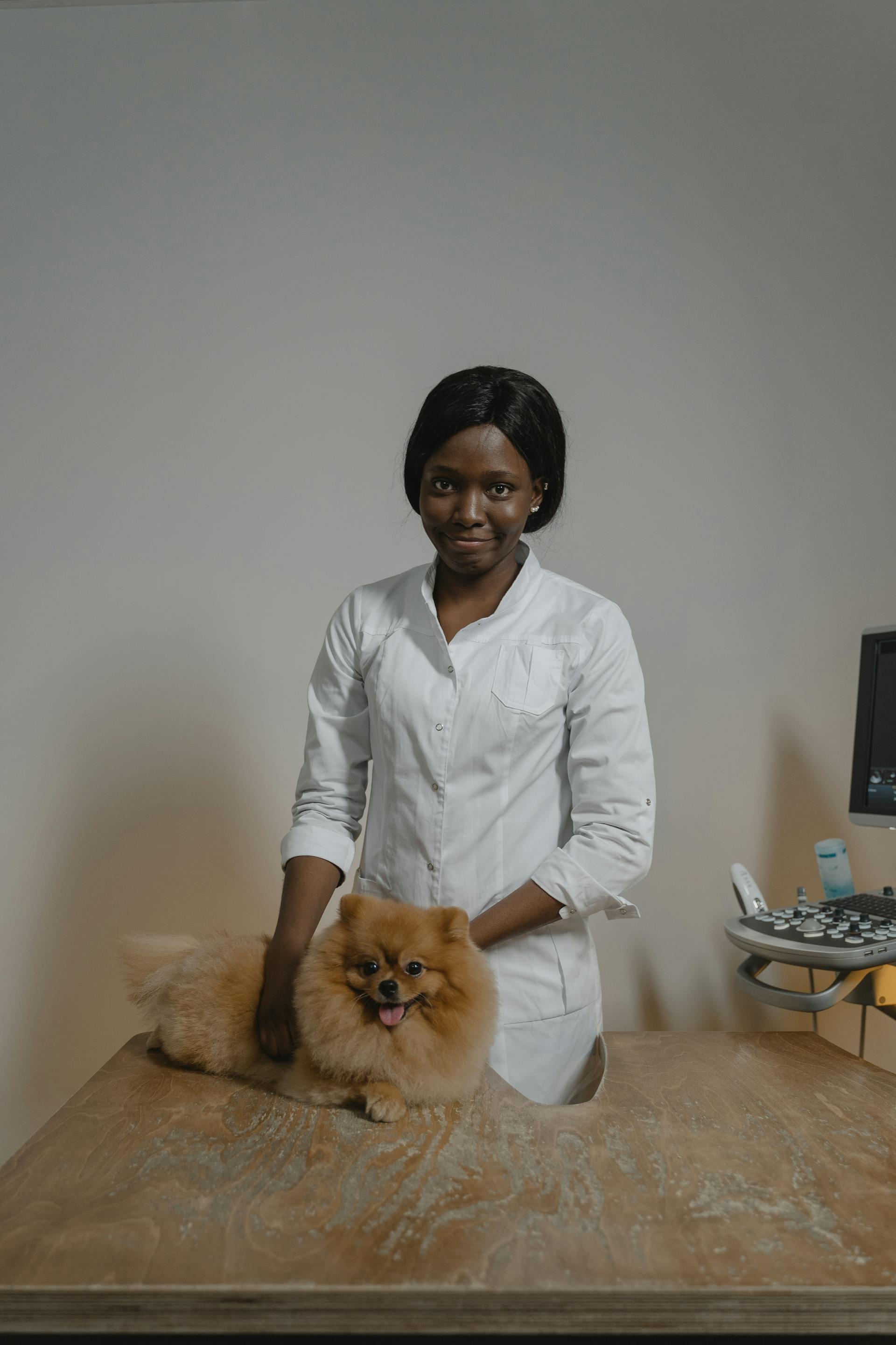 Pet surgery